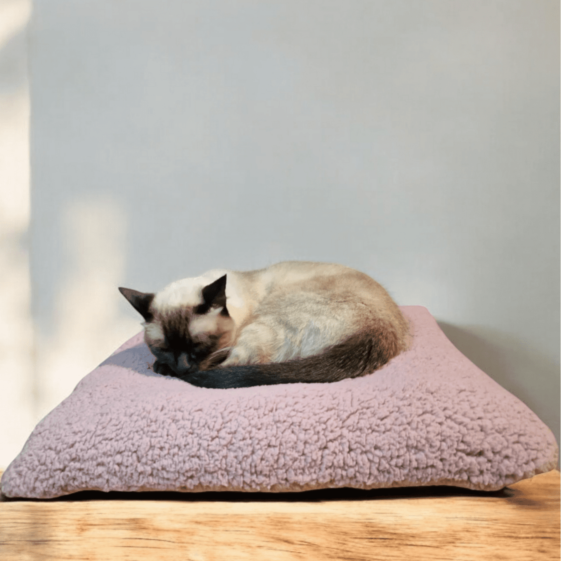 Mascotín – Camita Saquito Térmico para Mascotas - 2